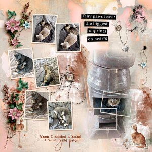 BINGO-SCRAP-STYLE---A---ANIMAL-CAT.jpg