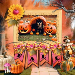 Pumpkin-Land.jpg