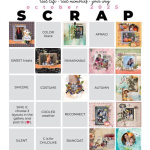 2025-10_pbp_scrapbook_bingo