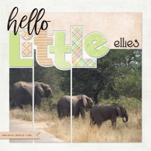 2023-05-07_HelloLittleEllies