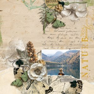 Nature full of wonder