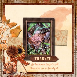 Ready For You UseAll 8x8 72.jpg