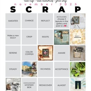 2025-11_pbp_scrapbook_bingo final.jpg