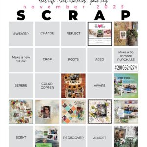 My Nov '25 Scrap Bingo Card