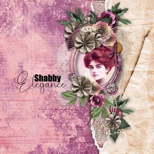 Shabby Elegance