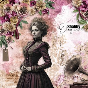 Shabby Elegance