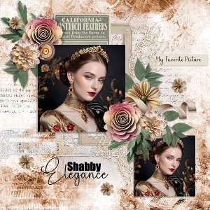Shabby Elegance