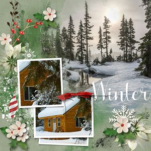 Template - Winter.jpg