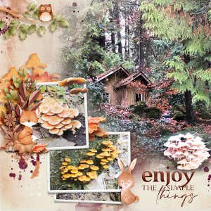 Enjoy the Simple Things