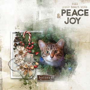 Peace & Joy.jpg