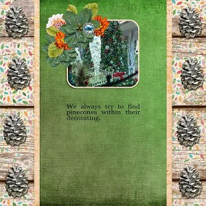 We always Look for Pinecones