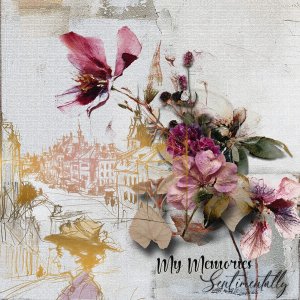 My memories sentimentally