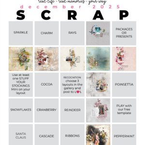 2025-12_pbp_scrapbook_bingo.jpg