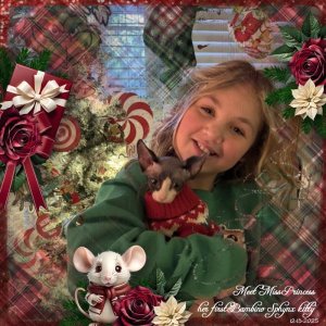 Bristol's Early Christmas2