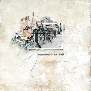 moments touched by winter