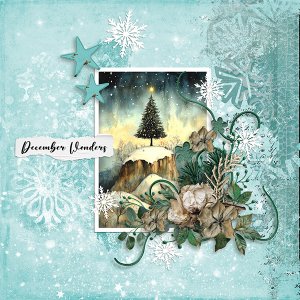 December Wonders