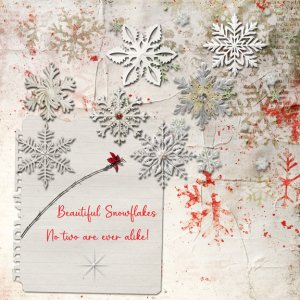 Snowflakes 8x8 72.jpg