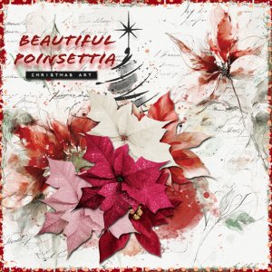 Poinsettia 8x8 72.jpg