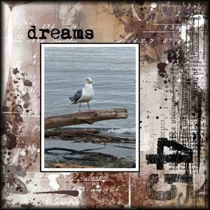 dreams