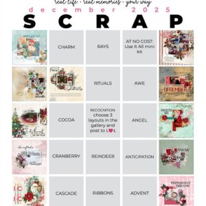 2025-12_pbp_scrapbook_bingo.jpg