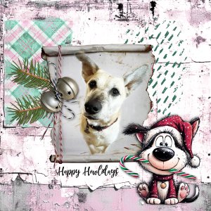 STUFF YOUR STOCKINGS_Dec_janisn.jpg