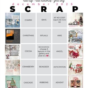 2025-12_pbp_scrapbook_bingo Finish.jpg