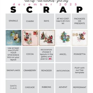 2025-12_pbp_scrapbook_bingo.jpg