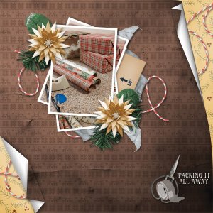 Christmas clean-up 2024