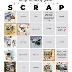 2026-01_pbp_scrapbook_bingo
