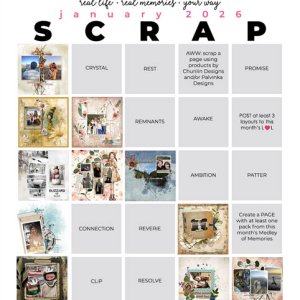 2026-01_pbp_scrapbook_bingo