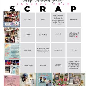 2026-01_pbp_scrapbook_bingo card