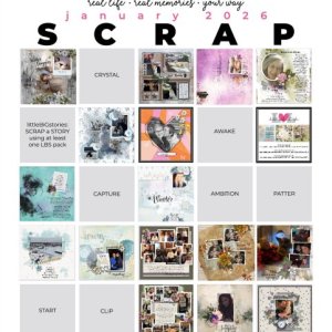 2026-01_pbp_scrapbook_bingo