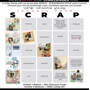 Pickleberry Pop Challenges 2 - Bingo Card.jpg