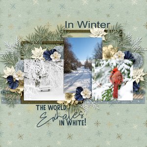 Wintery-Whispers_01-27.jpg