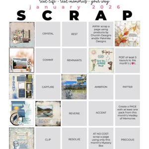 2026-01_pbp_scrapbook_bingo Complete.jpg