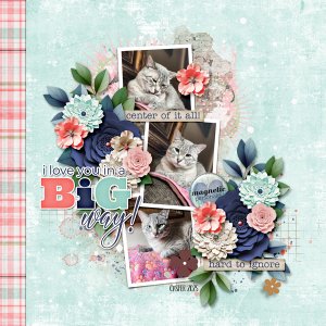 Memory-of-Medley_Casper