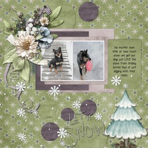 Snow loving dogs.jpg