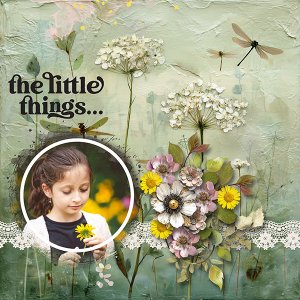 The Little Things.jpg