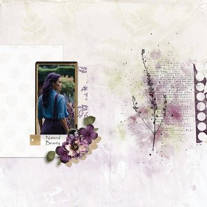 pp 2026 03 use it all.jpg