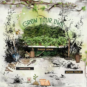 Grow Your Own