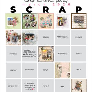 2026-03_pbp_scrapbook_bingo