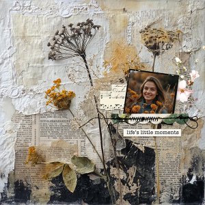 pp 2026 03 pause.jpg