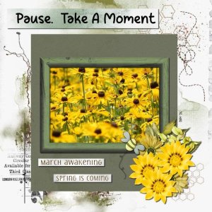 Pause Take a Moment