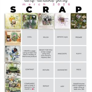 2026-03_pbp_scrapbook_bingo