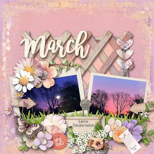 Sunrise Transformation in March