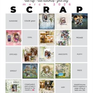 March 2026 Scrap Bingo