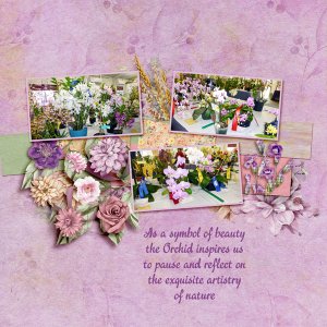 BINGO-SCRAP-STYLE-A---ASYMMETRY---ORCHIDS.jpg