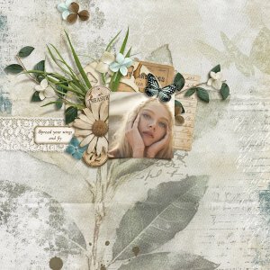 Spread your wings and fly