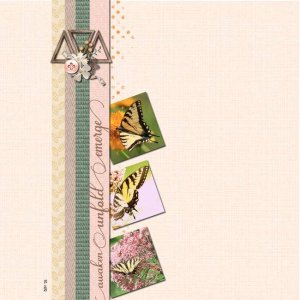 Pickleberry Pop Challenges 2 - 4 2 Single Line of Focus.jpg