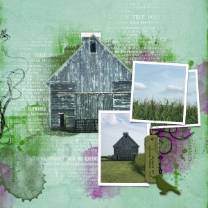 The Art of Extracting.jpg